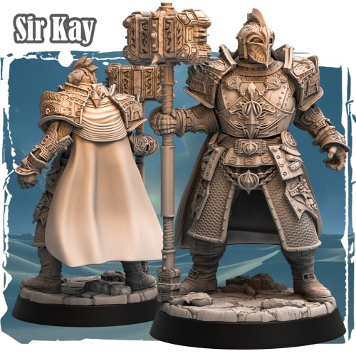 Figurka Sir Kay z serii Avalon Forces przedstawia rycerza fantasy z młotem bojowym, w pełnej zbroi i pelerynie. Bogate detale, dynamiczna poza i epicki klimat idealnie pasują do gier bitewnych, RPG i kolekcji fantasy.