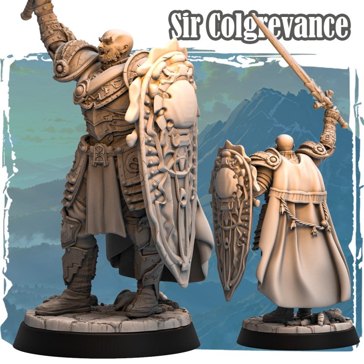 Figurka Sir Colgrevance z serii Avalon Forces II przedstawia rycerza w ozdobnej zbroi z mieczem i tarczą. Bogate detale, dynamiczna poza i epicki klimat idealne do gier RPG i kolekcji fantasy.