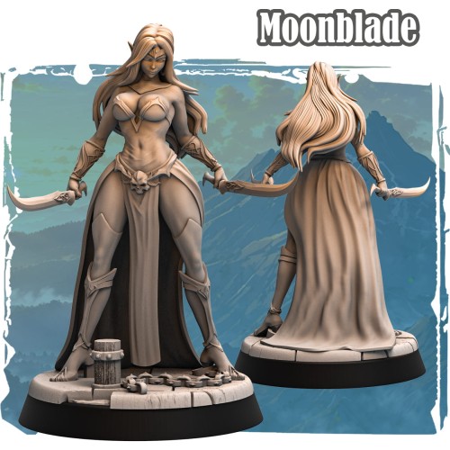 Moonblade – figurka fantasy 32mm z serii Silverwood II. Elfka z dwoma zakrzywionymi mieczami, w ozdobnym pancerzu i dynamicznej pozie. Tło z górskim pejzażem. Idealna do gier RPG i kolekcji.